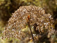 2020-10-25 0083 : Valais