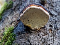 2020-10-25 0087 : Valais