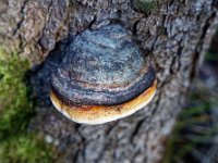 2020-10-25 0088 : Valais