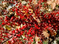 2020-10-25 0101 : Valais