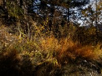 2020-10-25 0111 : Valais