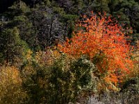 2020-10-25 0126 : Valais