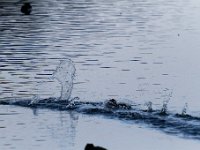 20171031 0023