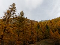 20171102 0004