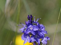 20150613 0145