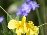 20150613 0146