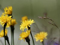 20150613 0151