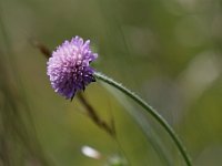 20150613 0156