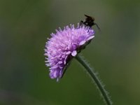 20150613 0157