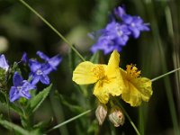 20150613 0177