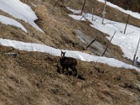 Val d Herens 12-2016