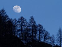 20160319 0055