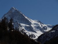 20160320 0069