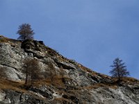 20161209 0039