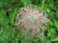 20070721 017