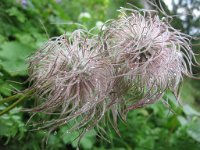20070721 029