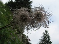 20070721 030