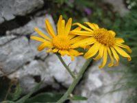 20070721 063