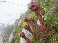 20070721 078