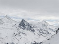 20110226 221