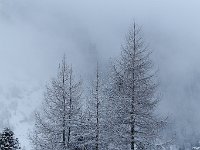 20110227 003