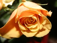 20050501 190