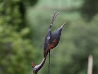 20140706 324