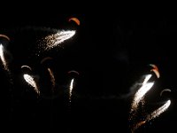 20170127 0301