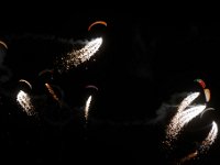 20170127 0304