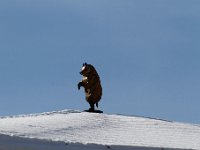 20170128 0249