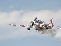 20080629 064