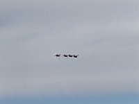 20160414 0116