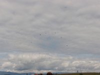 20140830 0272-Air14
