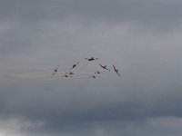 20140831 0349-Air14