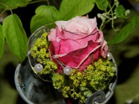 20100612 0211
