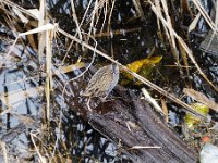 Les Grangettes 2019 12 07