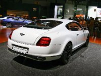 20090313 052