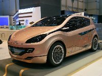 20090313 258