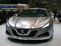 20090313 315